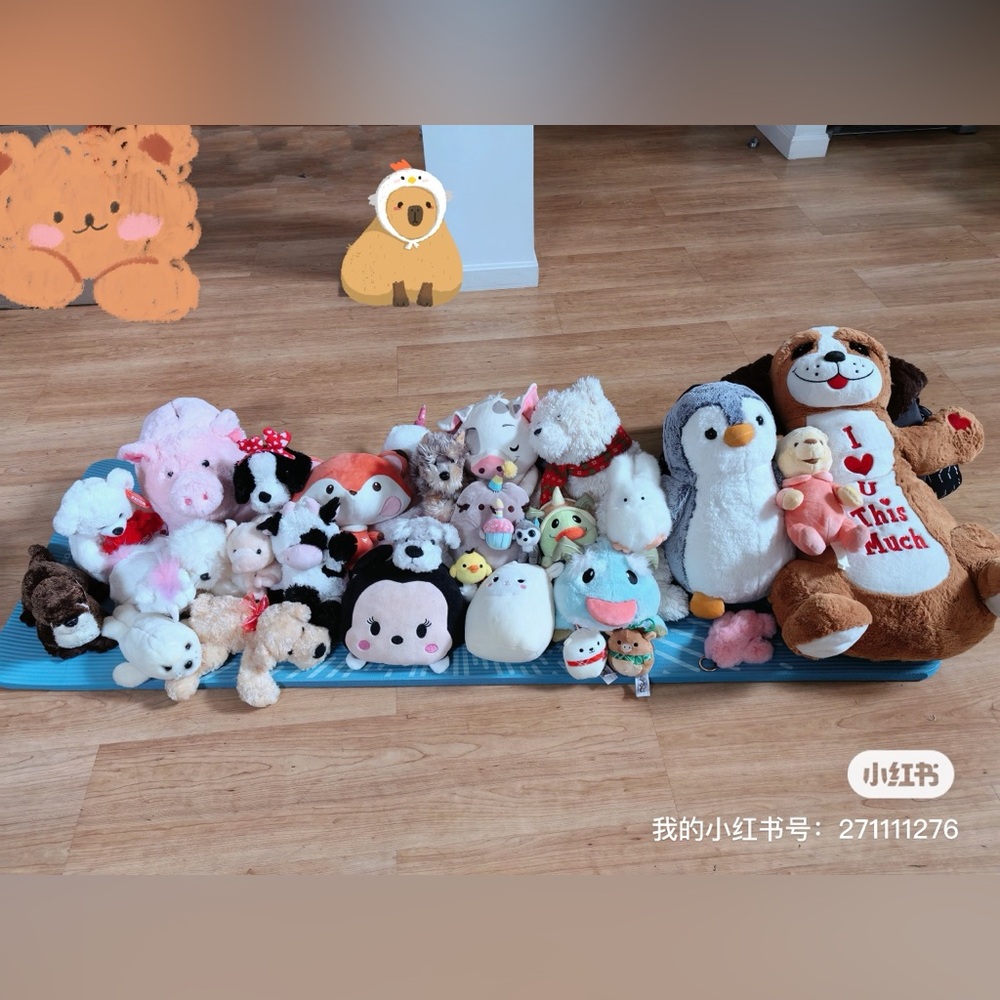Fluffy toys!!! Your new fluffy friends from different parts of the world.